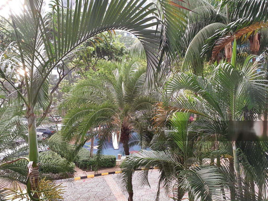 Valley Park (D10), Condominium #193995952